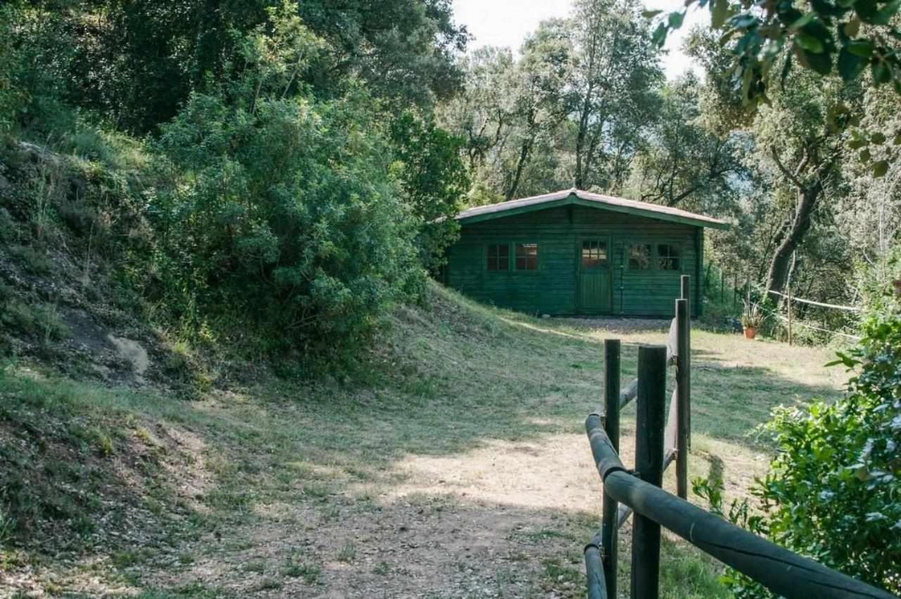 Masia Can Jou Sant Jaume de Llierca Dış mekan fotoğraf